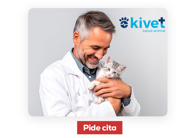 Clínicas Kivet. Encuentra la clínica más cercana y pide cita para una primera revisión