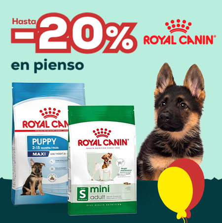 Royal Canin: Hasta -20% en seleeción de pienso para perro