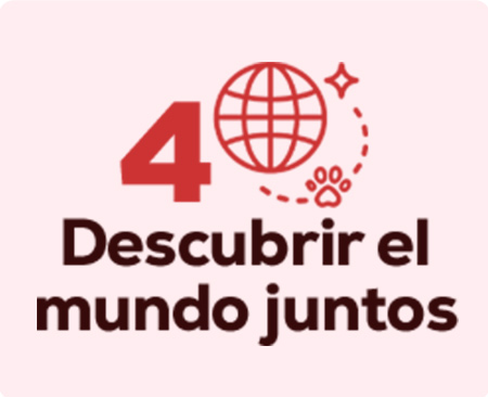 Todo lo que necesitas para descubrir el mundo