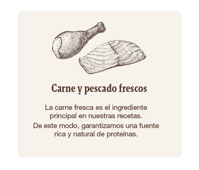 Alimentación elaborada con carne y pescados frescos garantizando una fuente rica y natural de proteínas