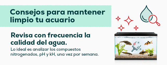 Educativo