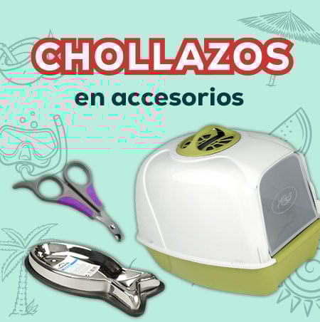 Súper precios en selección de accesorios para gato