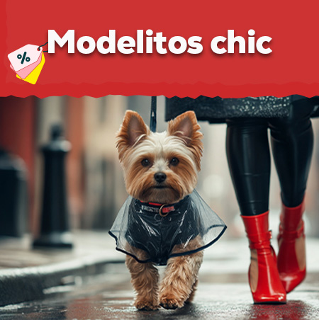 Ofertas de ropa para perro