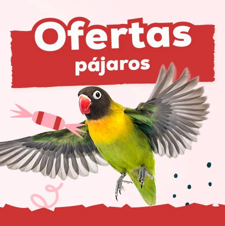 Ofertas para pájaros