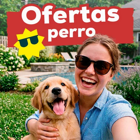 Ofertas para perro