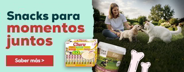 Snacks para momentos juntos