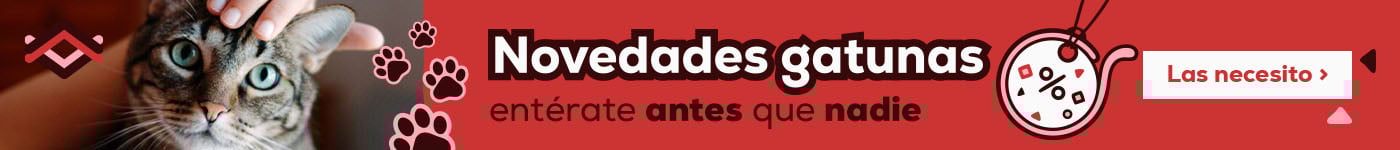 Novedades gatunas. Entérate ates que nadie de las tendencias para gato Novedades gatunas. Entérate ates que nadie de las tendencias para gato
