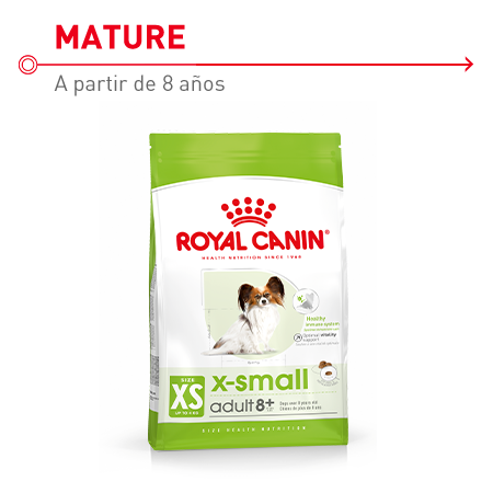 Pienso  para perros mayores de 8 años de razas muy pequeñas  Royal Canin X-Small Mature 8