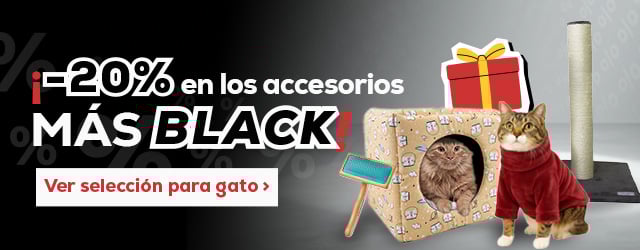 -20% en selección de los accesorios más Black para perro