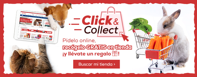 Clic & Collect: Pídelo online y recógelo gratis tienda ¡y llévate un regalo!