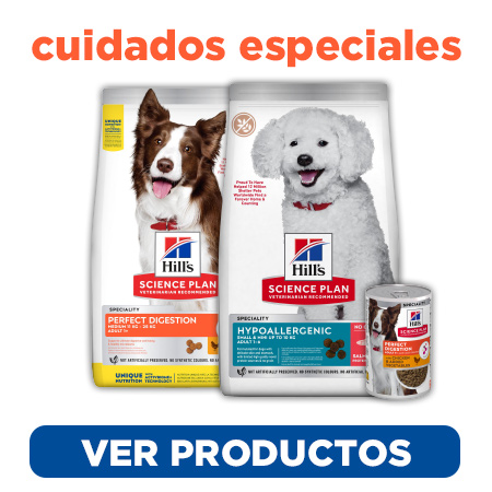 Descubre los alimentos de Hill's diseñados para los problemas de salud más frecuentes de los perros
