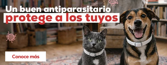 Un buen antiparasitario protege e los tuyos