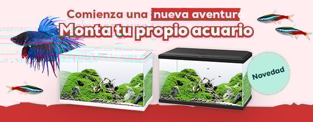 Nuevos acuarios. Comienza la aventura