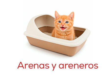 Arenas y areneros