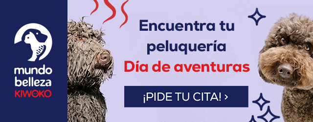 Encuentra tu peluquería