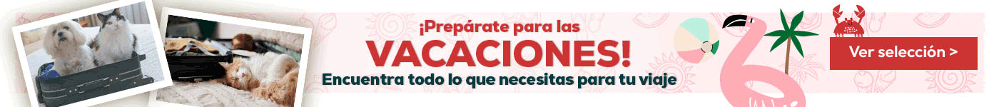 Preparáte para las vacaciones: Súper precios en trasnportines