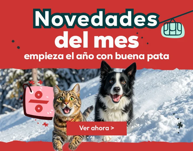 Descubre todas las novedades de Enero