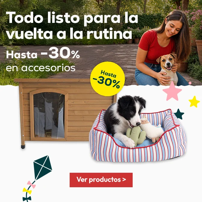 Todo listo para la vuelta a la rutina hasta -30% en accesorios