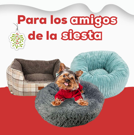 Camamanía