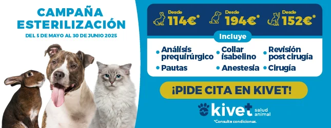 Campaña esterilización