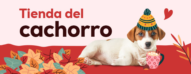 Tienda del cachorro: Todo lo que necesitas para darle la bienvenida