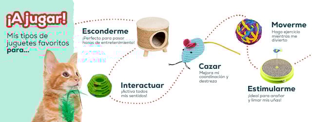 Tipo de juguetes para gato