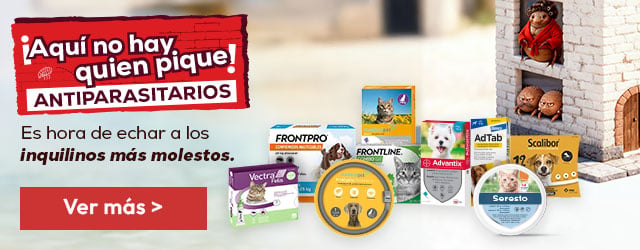 Antiparasitarios: Es hora de protegerlos de las pulgas, garrapatas, flébotomos... Antiparasitarios: Es hora de protegerlos de las pulgas, garrapatas, flébotomos...