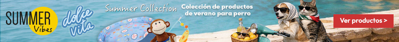 Summer Dog: Colección de verano para perro