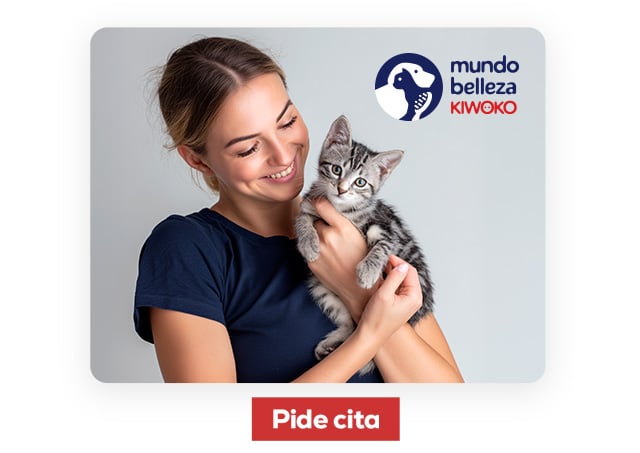 Peluquerías mundo belleza. Encuentra la más cercana y pide cita para una primera visita