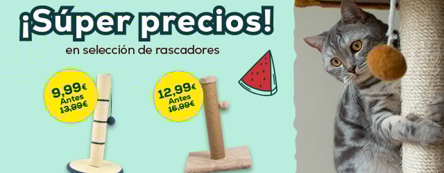Súper precios en selección de rascadores
