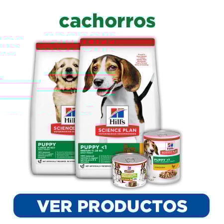Descubre el alimento adecuado de Hill's Science Plan para tu cachorro