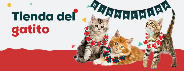 Gatito: Todo lo que necesitas para darle la bienvenida