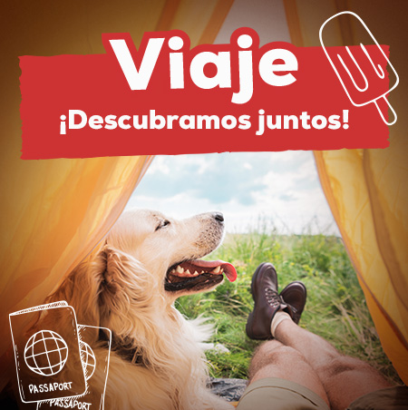 Ofertas de productos de viaje