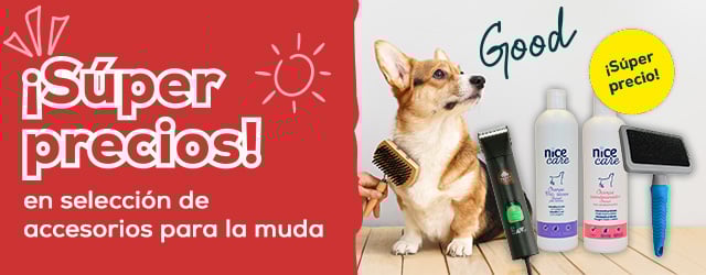 Súper precios en accesorio de peluquerías y cuidados en la época de muda
