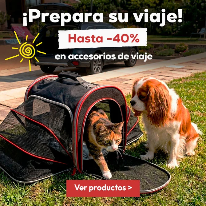 Prepara su viaje con los accesorios más top