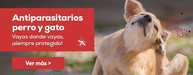 Antiparasitarios para perro y gato