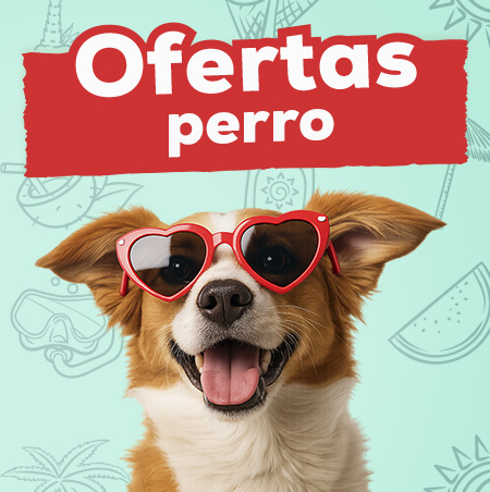 Ofertas para perro