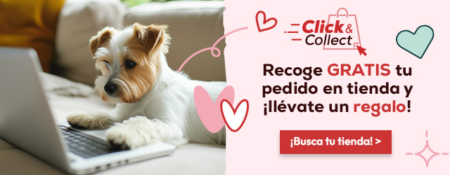 Compra online y recoge grátis tu pedido en una de las 160 tiendas Kiwoko