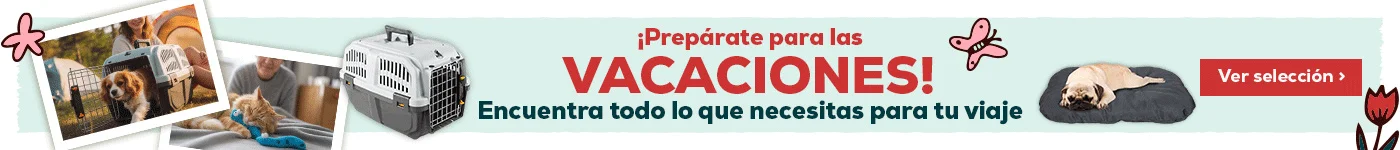 Prepárate para las vacaciones: Hasta -40% en accesorios