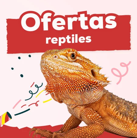 Ofertas para reptiles
