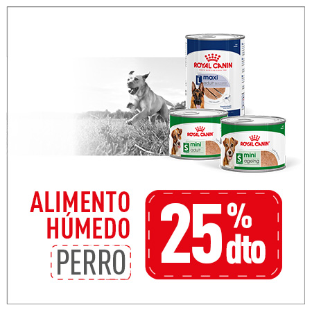 Royal Canin: -25% en selección de packs de húmedo para perro 24 uds