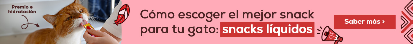 Cómo escoger el mejor snack para tu gato