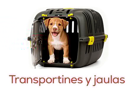 Transportines y viaje para salidas al veterinario o primeros viajes juntos