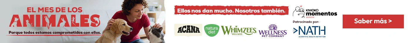 Celebramos el mes de los animales