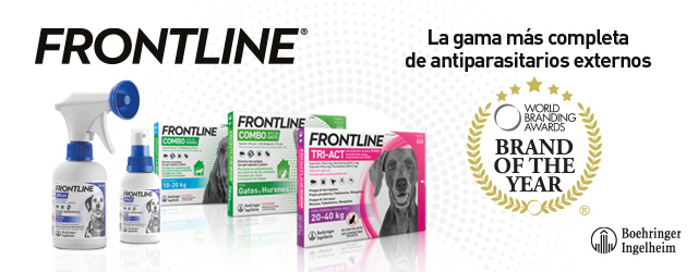 Frontline