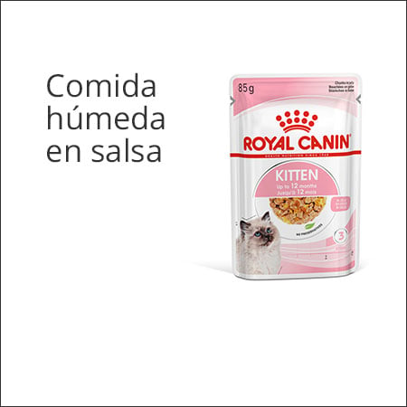 Royal Canin Kitten sobre comida húmeda en salsa
