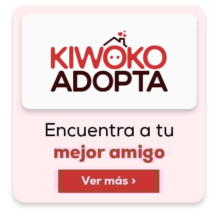 Kiwoko adopta. Encuentra a tu mejor amigo  Kiwoko adopta. Encuentra a tu mejor amigo