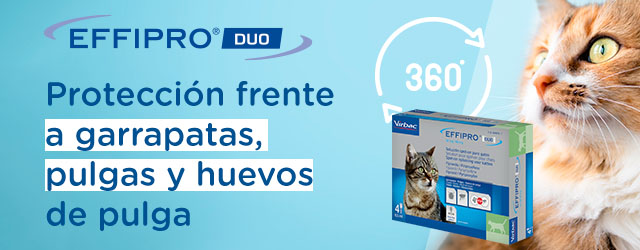 Effipro Duo: pipetas antiparasitarias para proteger a tu perro o gato de pulgas y garrapatas
