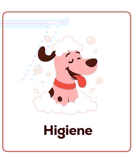 Higiene para cachorros. Limpieza, cuidado del pelo...