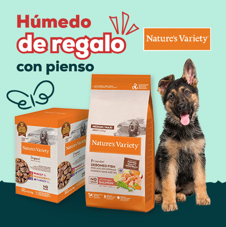Nature's Variety: Multipack de húmedo de regalo con pienso no Grain Adult Medium Maxi Salmón para perro 12 kg